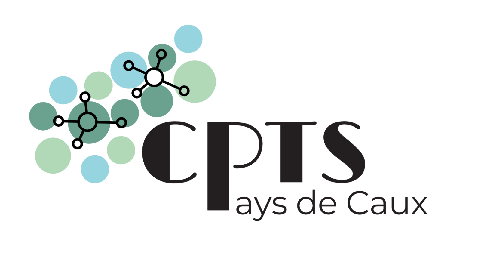 Logo Questionnaire