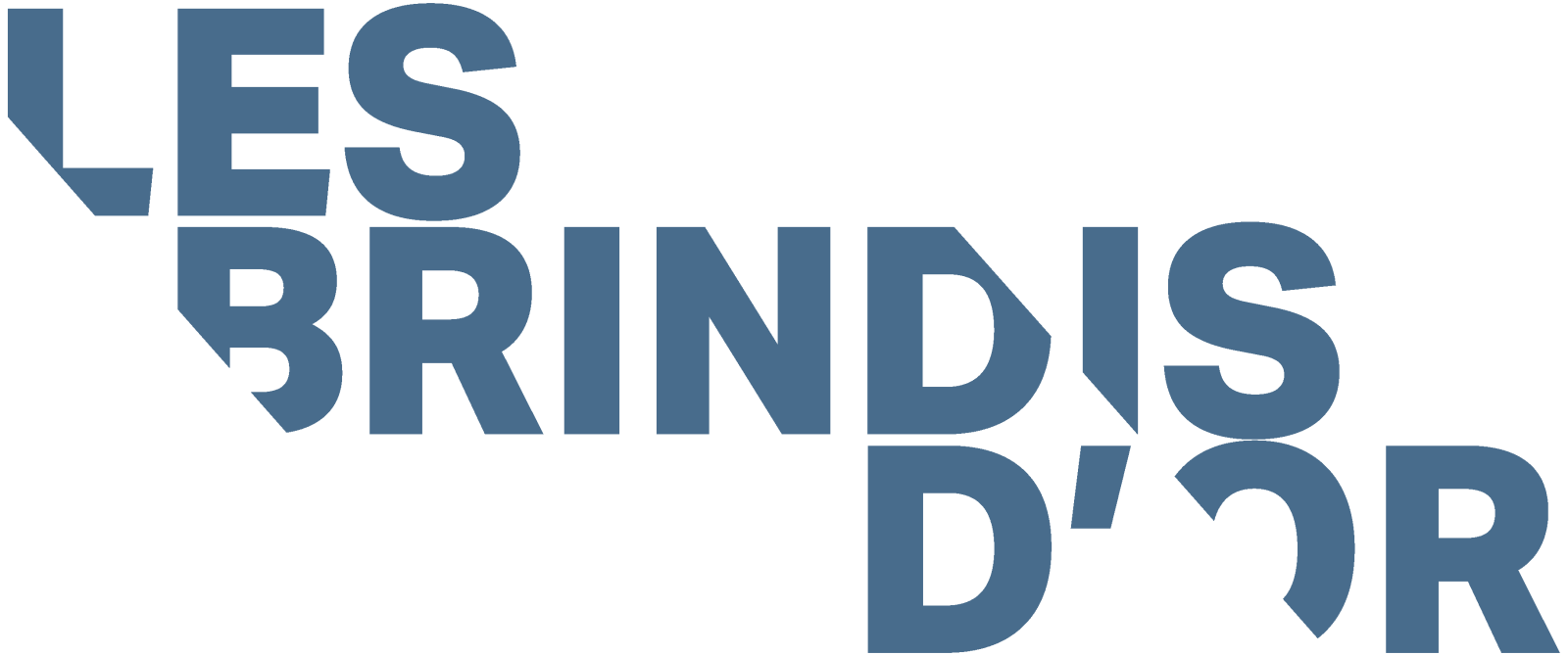 Logo Questionnaire