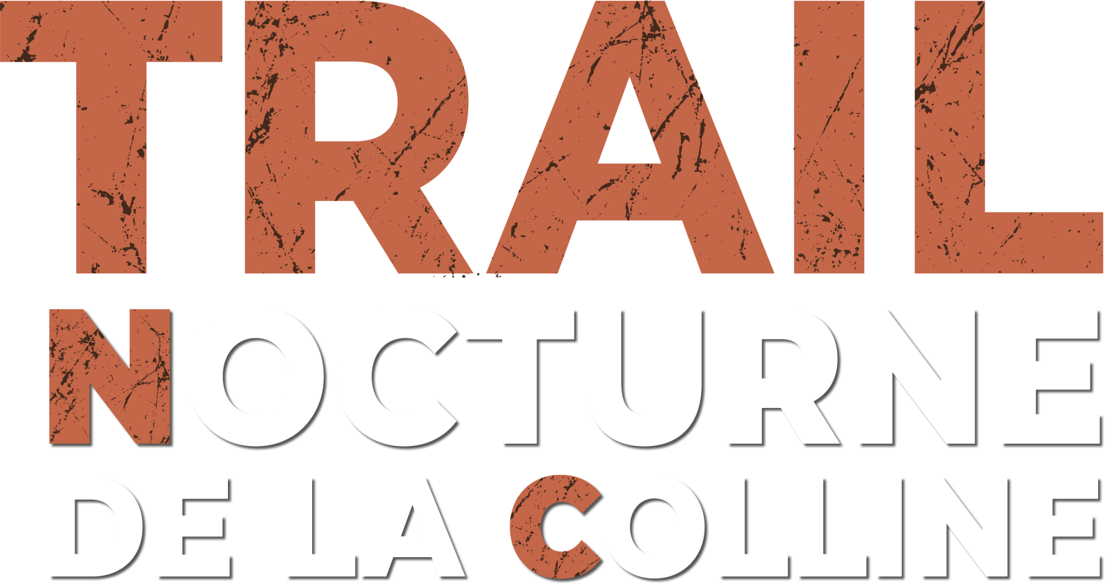 Logo Questionnaire