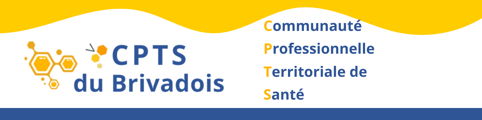 Logo Questionnaire