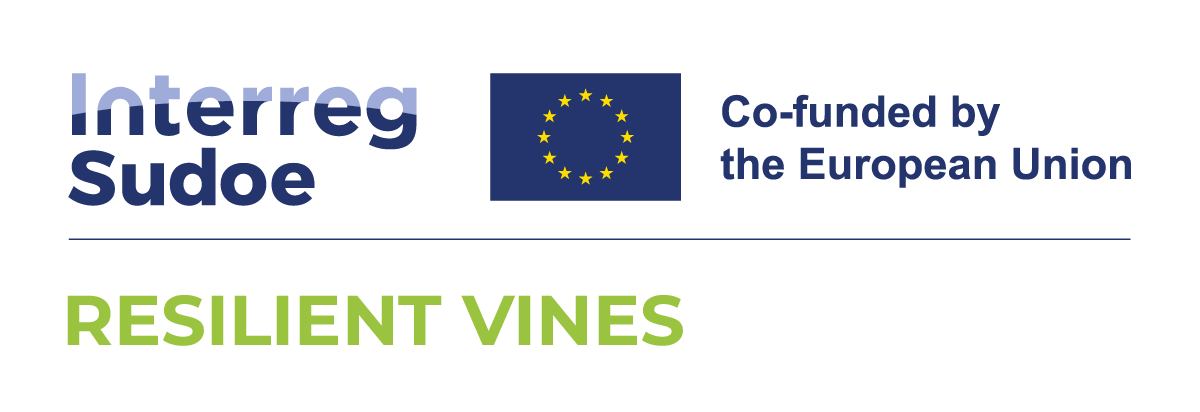 Logo Questionnaire
