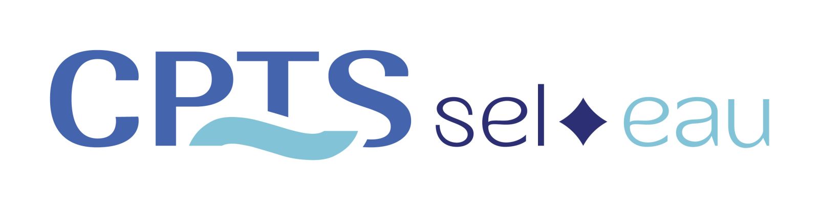 Logo Questionnaire