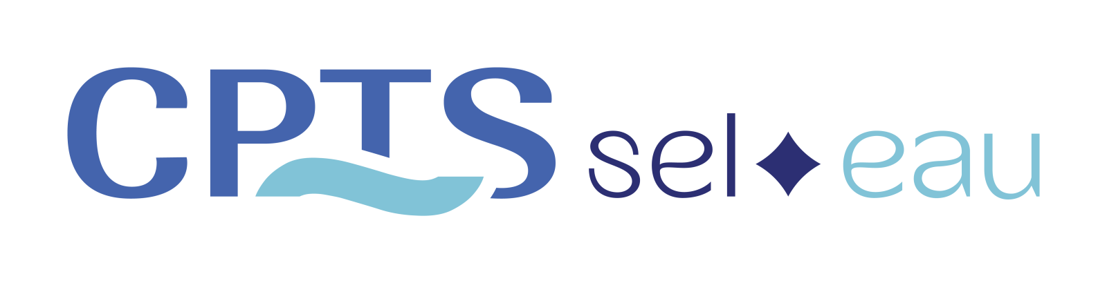 Logo Questionnaire