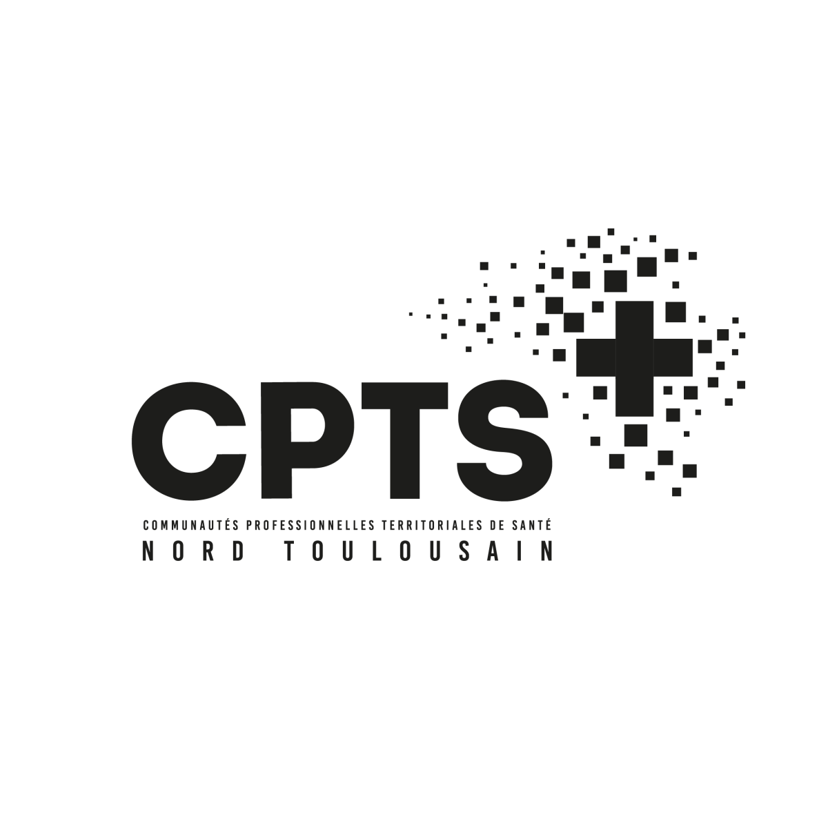 Logo Questionnaire