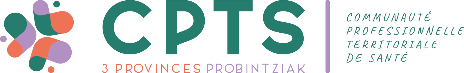 Logo Questionnaire