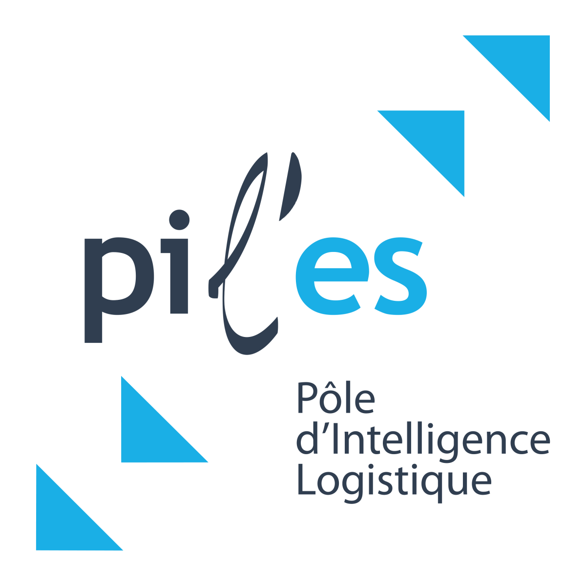 Logo Questionnaire