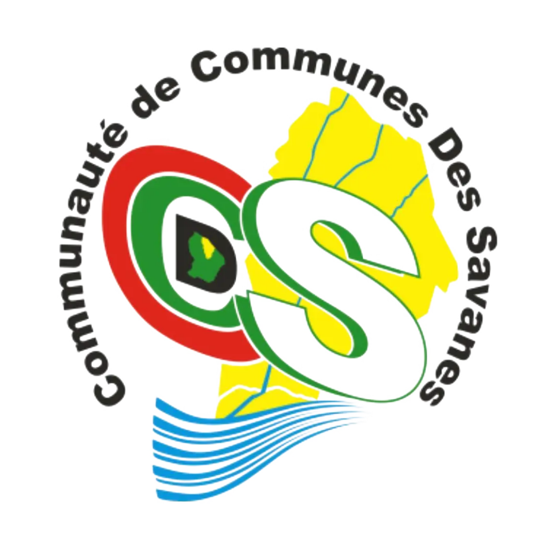 Logo Questionnaire