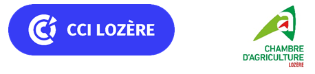 Logo Questionnaire